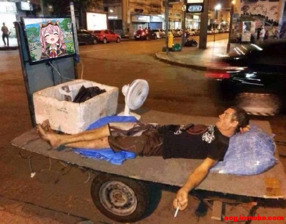 �����ʺϵ����Ա�ֽ�ķ�ëͼ-2.jpg