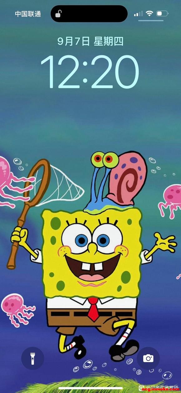 ���౦����ֽ-2.jpg