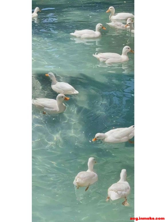����|���Ϻ�˲�併�µ����ձ�ֽ-8.jpg