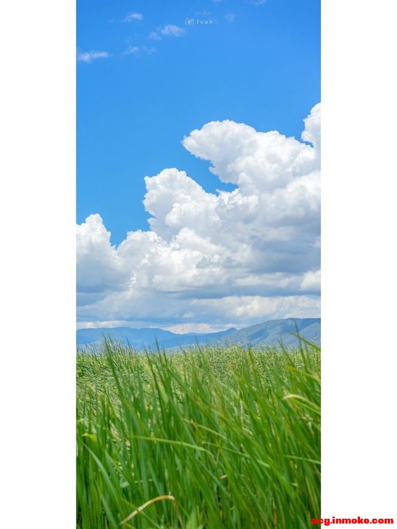 ����|���Ϻ�˲�併�µ����ձ�ֽ-13.jpg