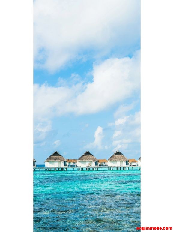 ����|���Ϻ�˲�併�µ����ձ�ֽ-14.jpg