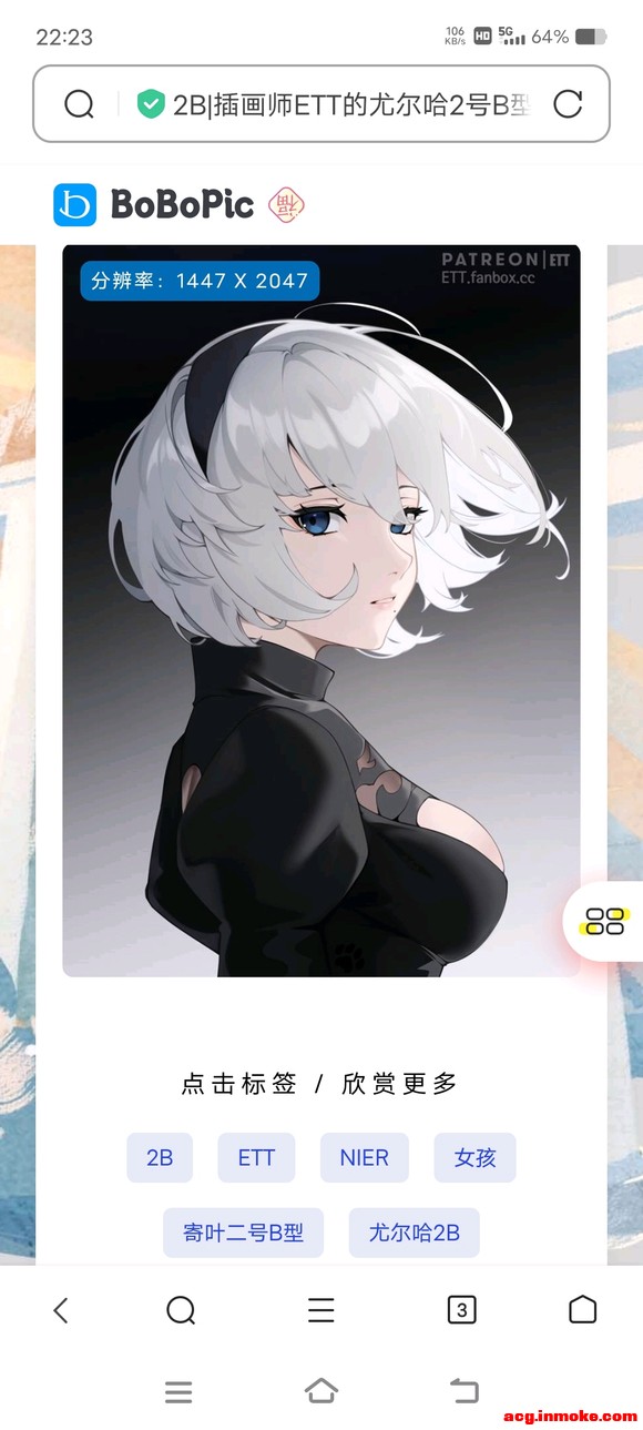 ����2b����ֽ����-6.jpg