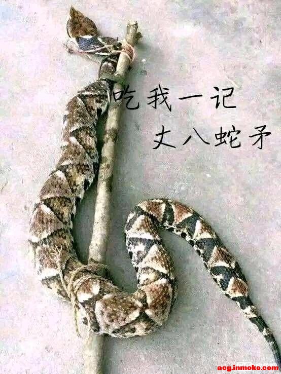�м������������ͼ��,�뵱��ֽ-1.jpg