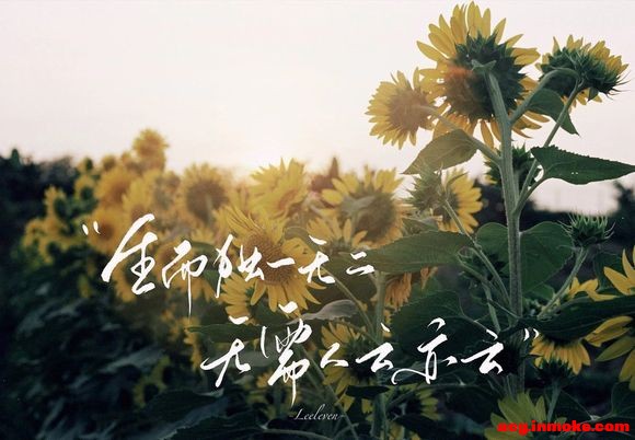 ��־��ֽipad ����-11.jpg