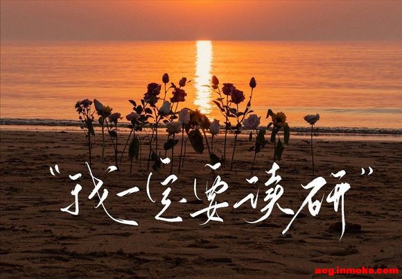 ��־��ֽipad ����-18.jpg