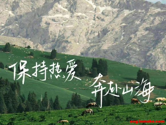 ��־���Ա�ֽ-5.jpg