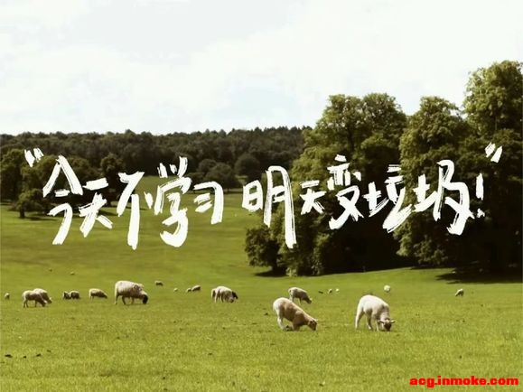 ��־���Ա�ֽ-11.jpg