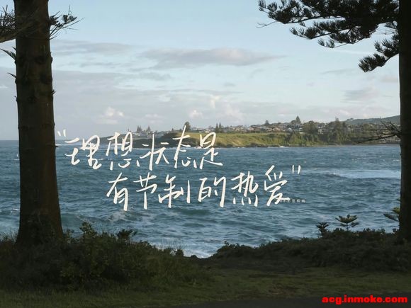 iPad��ֽ|��д|ɽɽ������ɹ�?-1.jpg