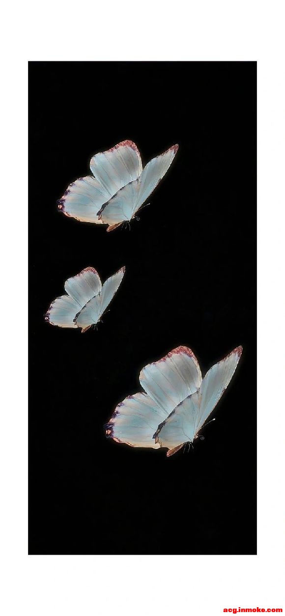 butterflyȫ����ֽ�ϼ�-4.jpg