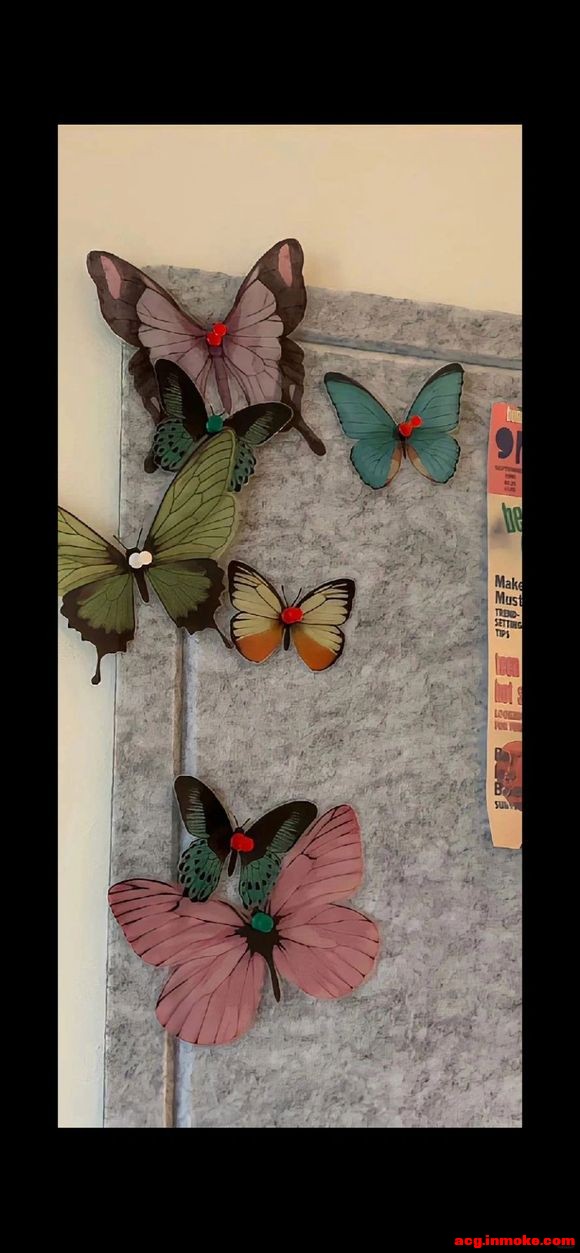 butterflyȫ����ֽ�ϼ�-5.jpg