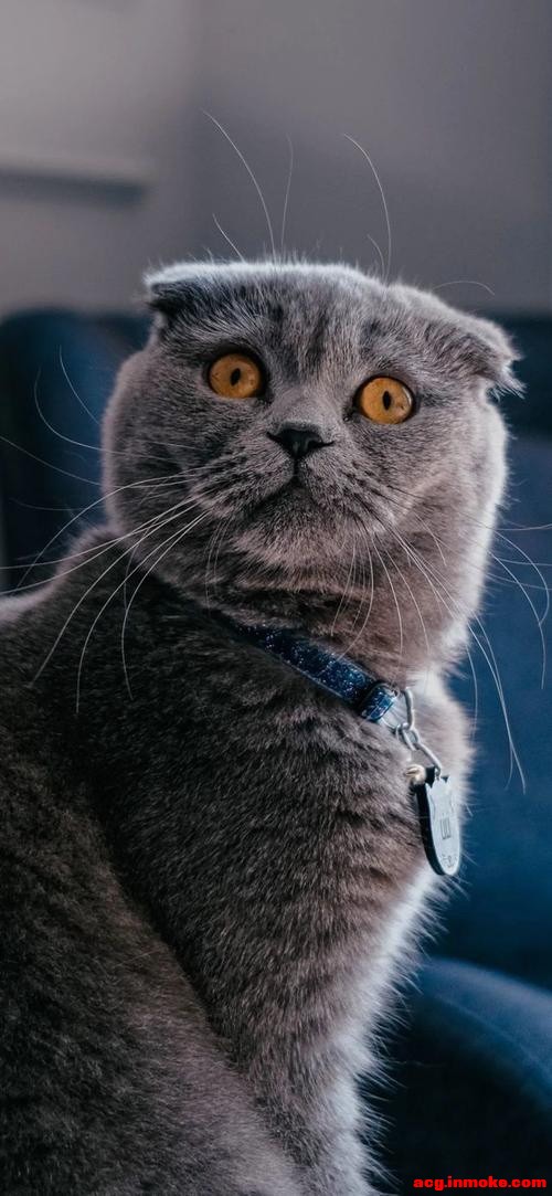 ���л��б�ֽ-6.jpg