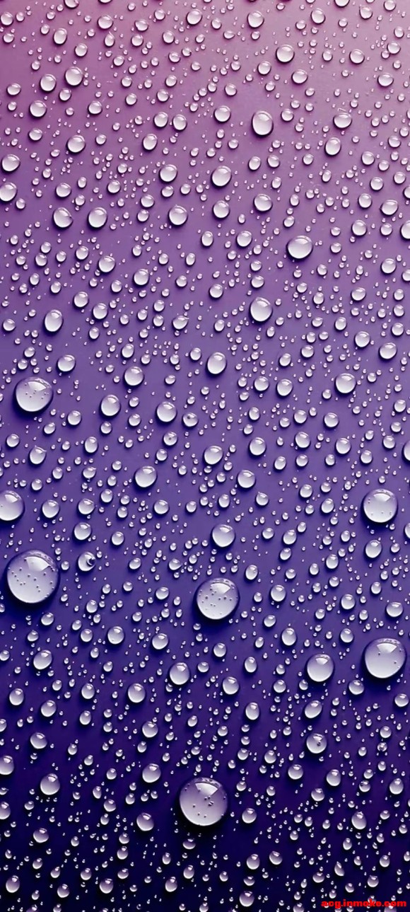 4K:�ʸ�ˮ�α�ֽ-4.jpg