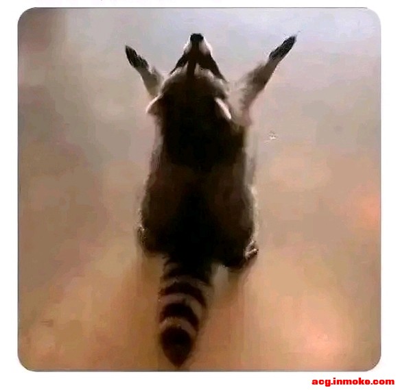 ���ǻ�����ʲô��������ֽ��ͼƬ��-1.jpg