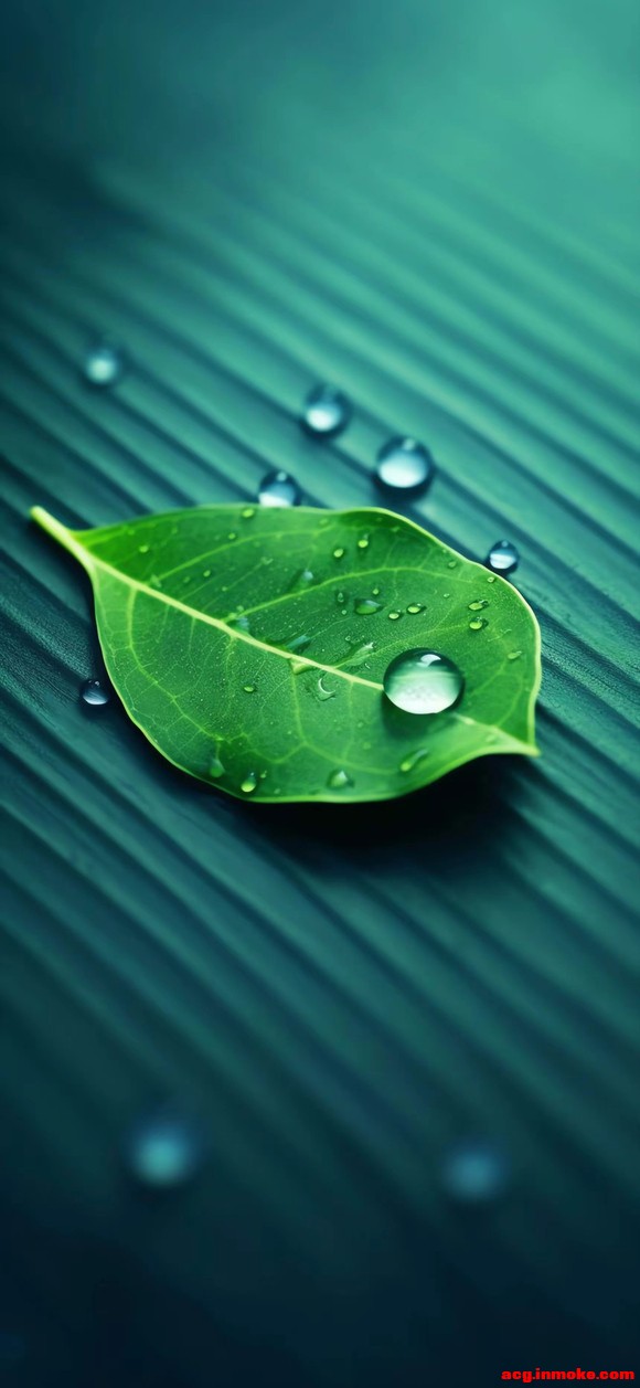 4K:������Ҷϵ�б�ֽ-3.jpg