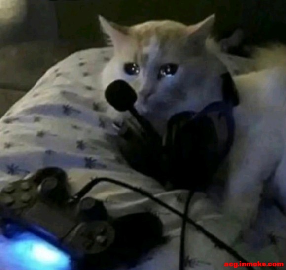 �ϸ����а���˿�ĵ��Ա�ֽ��-2.jpg