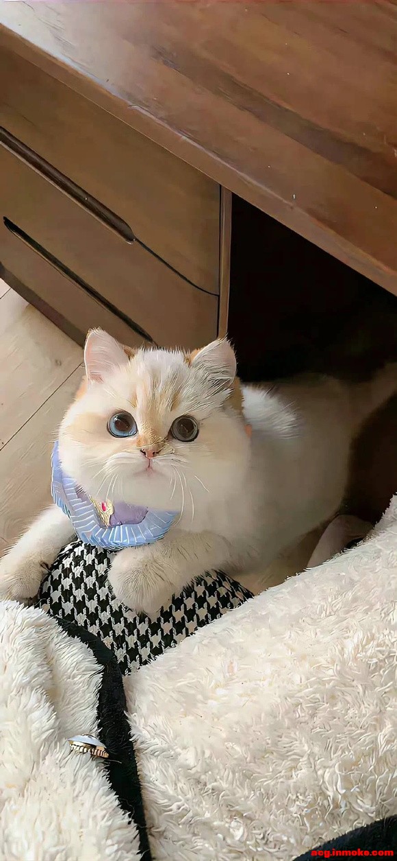 10��2�ո����ֽ����-1.jpg