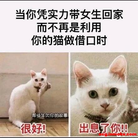 ����?�ҵ��ֻ���ֽ-1.jpg