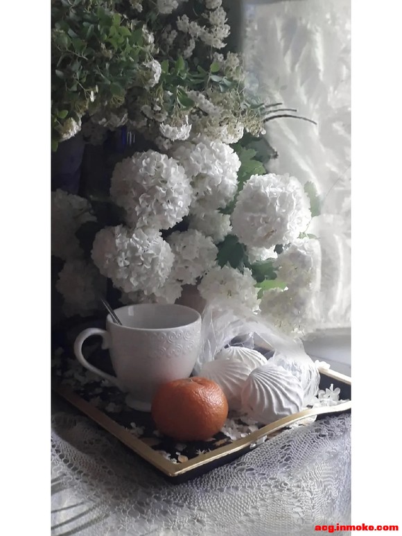 ������ֽ�ľ��ﻨ����Ӱ��Ʒ����!-9.jpg