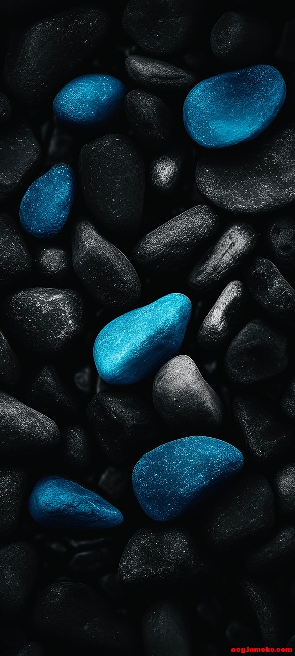 ��ֽ�Ƽ� �˼������,�۷�������-7.jpg