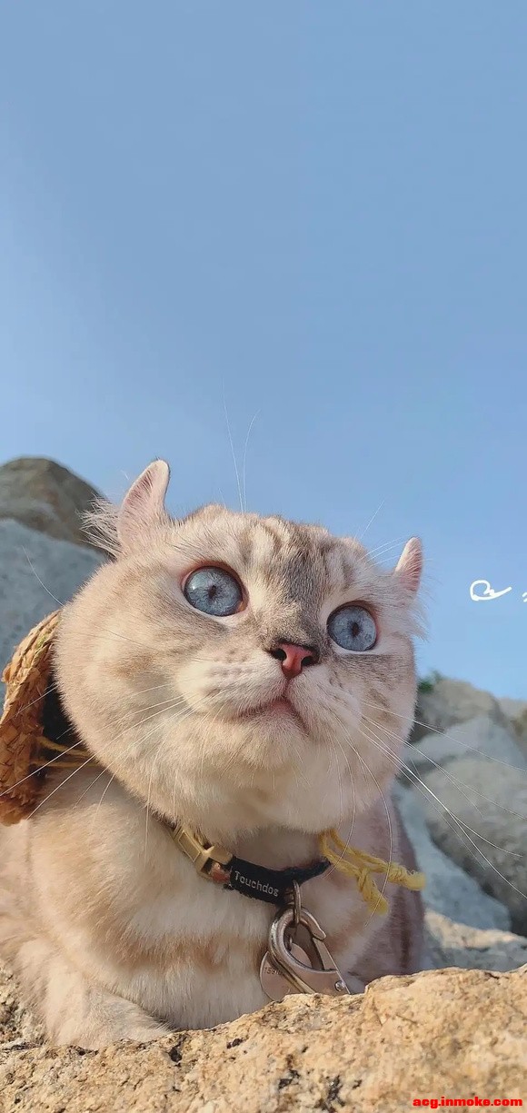 ���Լ���ϲ���ı�ֽ��������-2.jpg