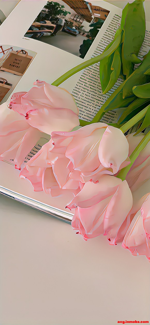 ��ֽ|�Ȱ�����ķ�ʽ-1.jpg