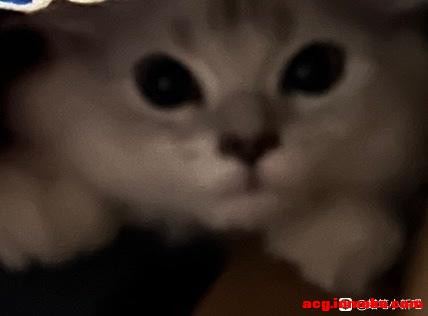 ����С�±�ֽ-9.jpg