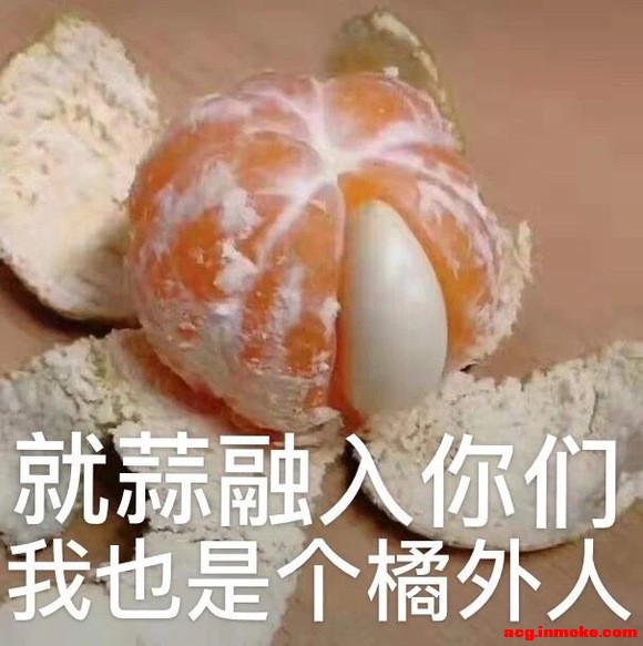 ����(����)ȥ��ŦԼ��չ��ʯ��-1.jpg