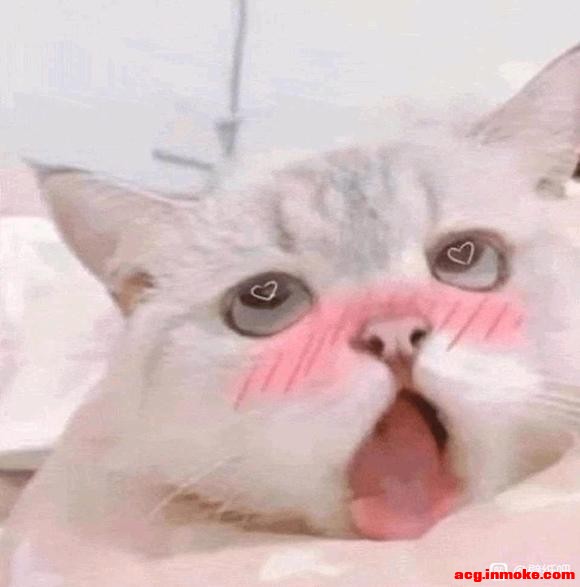 ��ÿ����Ըб�ֽ,��ȥ�����ҵ�-2.jpg