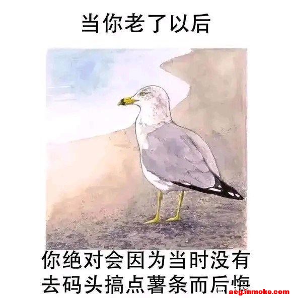 ��û��ʲô������Ʒ����Ⱥ����һ��-1.jpg