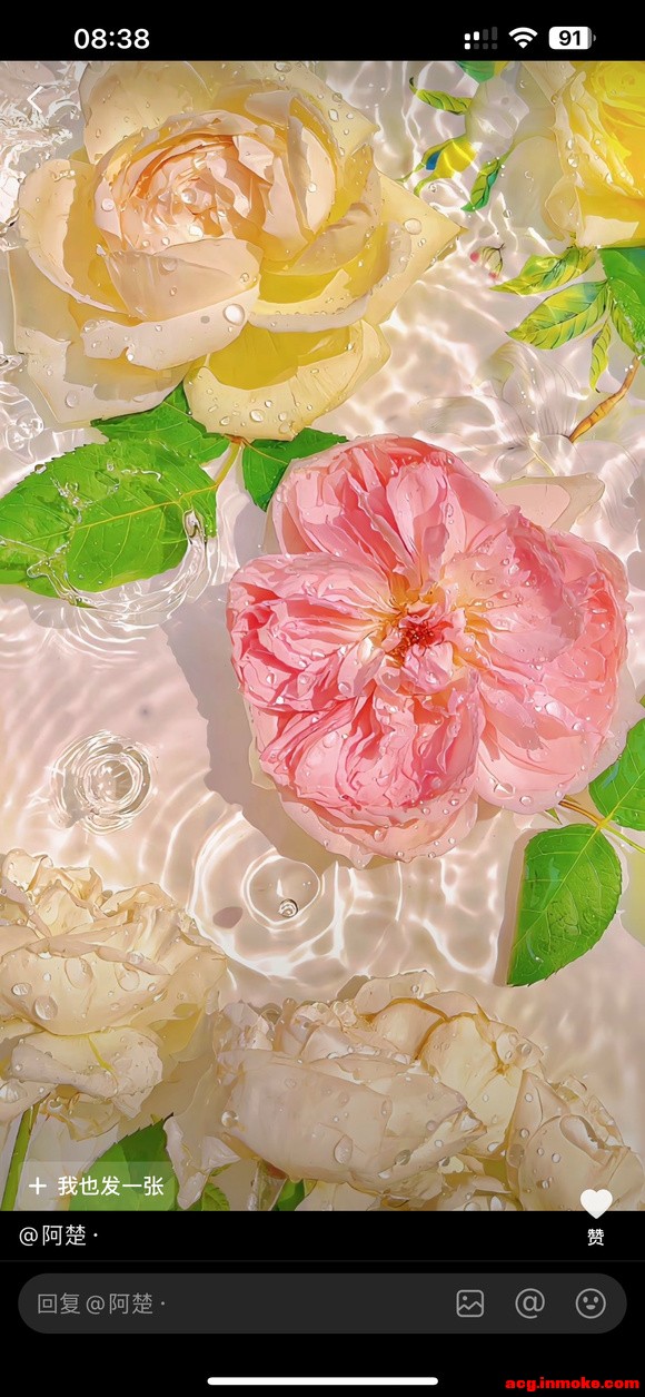��ֽ�Ƽ�:��������-1.jpg
