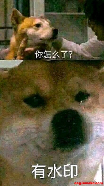 ��ر�ֽ����-1.jpg