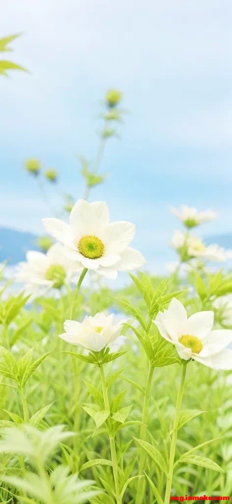 10��27�Ÿ����ֽ����-5.jpg