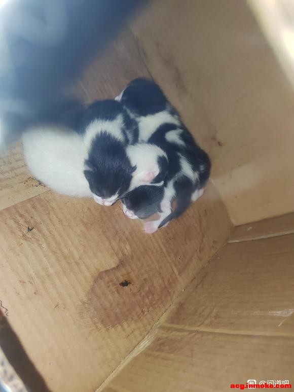 �Բ��������п��ܿ�����ϵͳ����-2.jpg