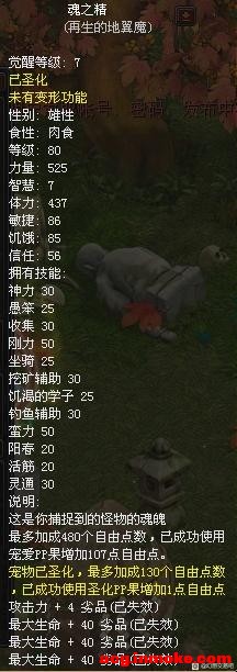 ��������Ʒ����Ҫ����ϵ-2.jpg