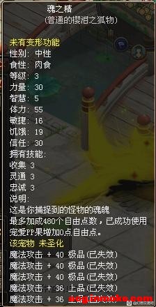 ��������Ʒ����Ҫ����ϵ-5.jpg