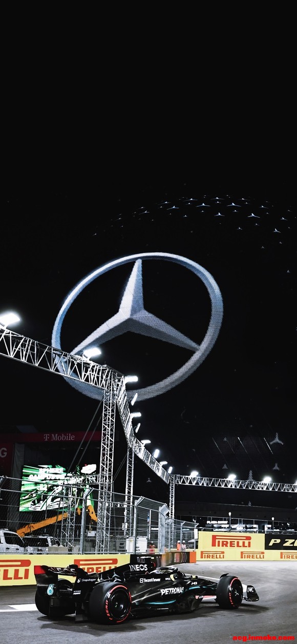 2023��˹ά��˹������ֽ-5.jpg