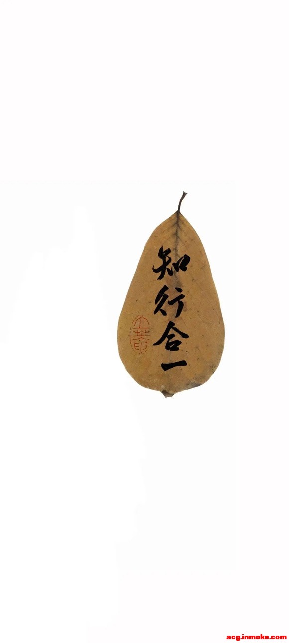 11��22�ո����ֽ����-7.jpg