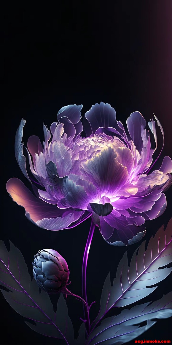 ��ֽ�Ƽ�:HDR ���ܱ�ֽ-2.jpg