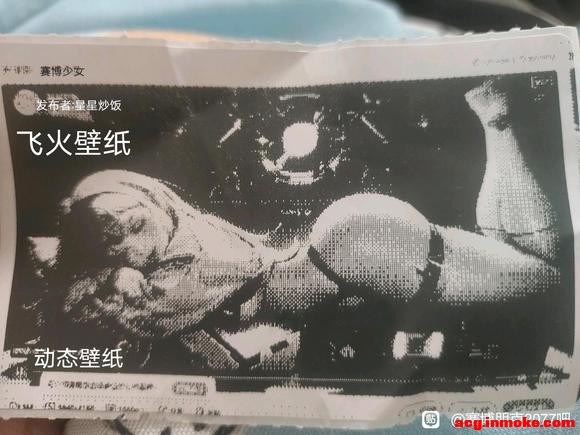 ������˷��ֽ-2.jpg