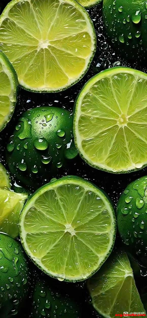 ����ֽ������ҷ���ÿ���ֽ,-10.jpg