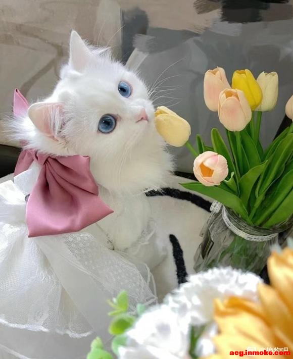 ���ɳ��ɻ���lo/jk/����-1.jpg