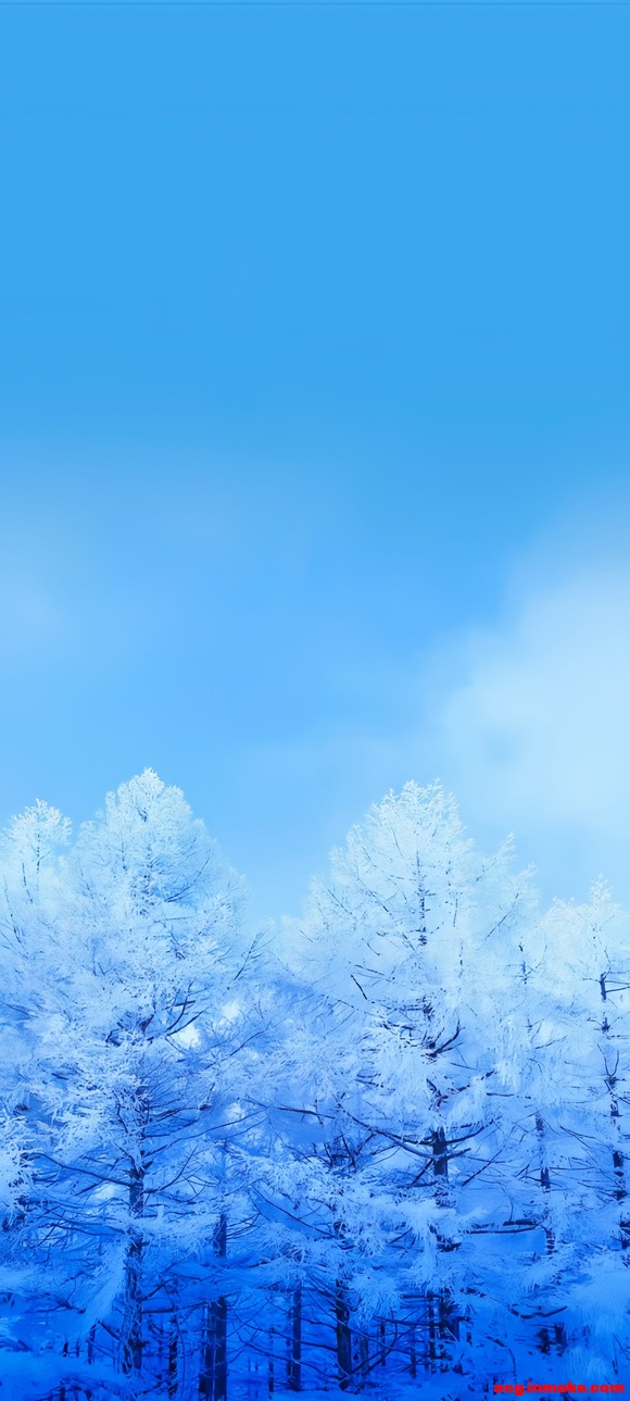 ����-���ձ�ֽ-2.jpg