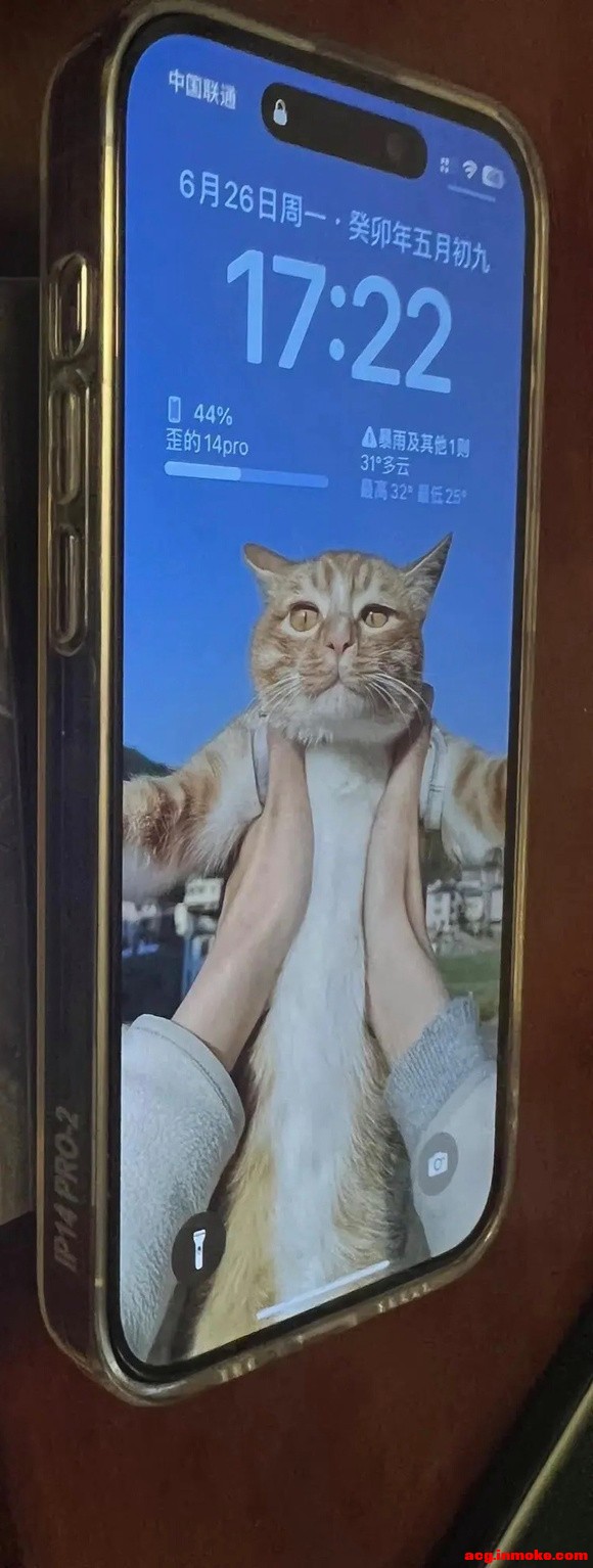 ���������ֽ-1.jpg