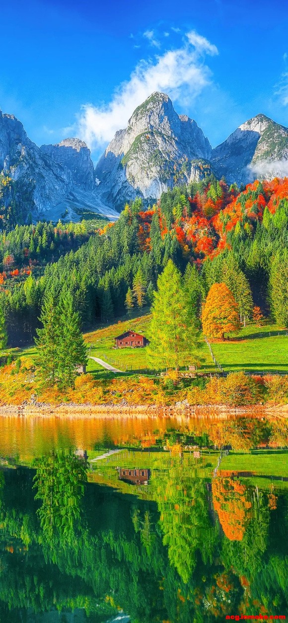 12��25�ո����ֽ����-5.jpg