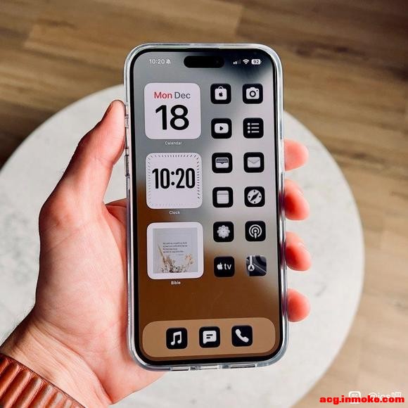 �����ֽ�ÿ�-1.jpg
