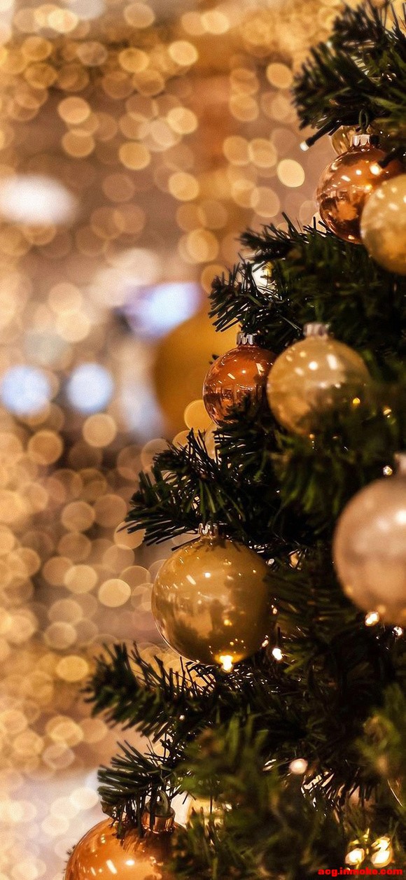 ��ֽ|Merry Christmas-2.jpg