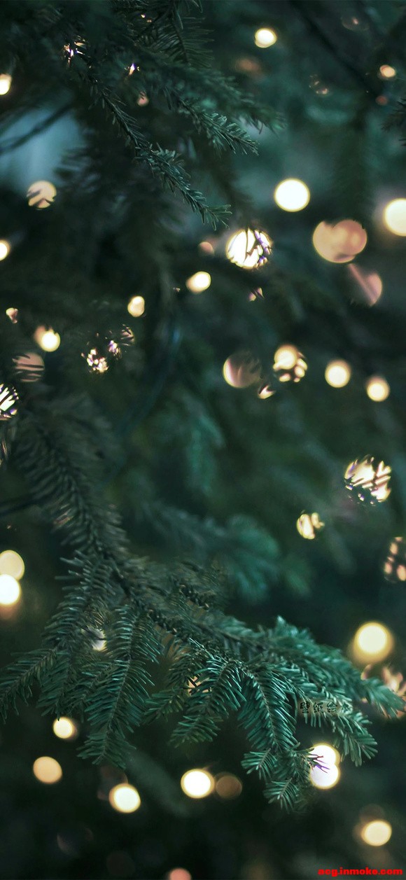 ��ֽ|Merry Christmas-7.jpg