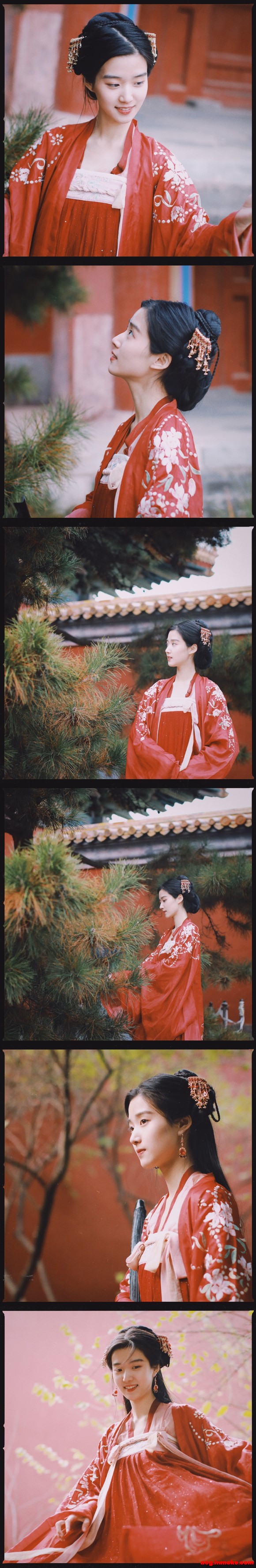 ¬����2019�꺺��д��-1.jpg