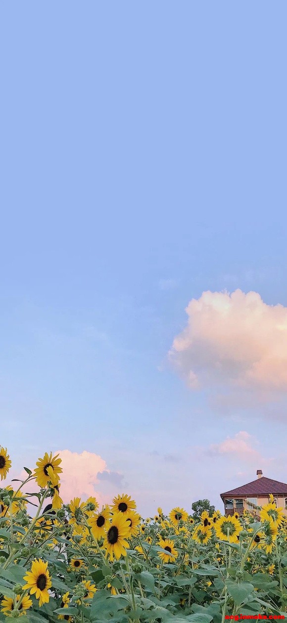 �羰�����ֽͼ��������-4.jpg