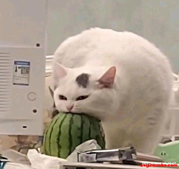 ���ߡ���һ�ֺܶ��˱�����ǣ�ű����ߵĸо�-1.jpg